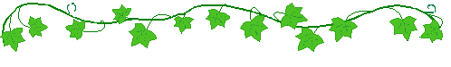 ivy